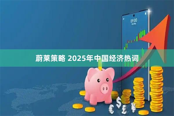 蔚莱策略 2025年中国经济热词