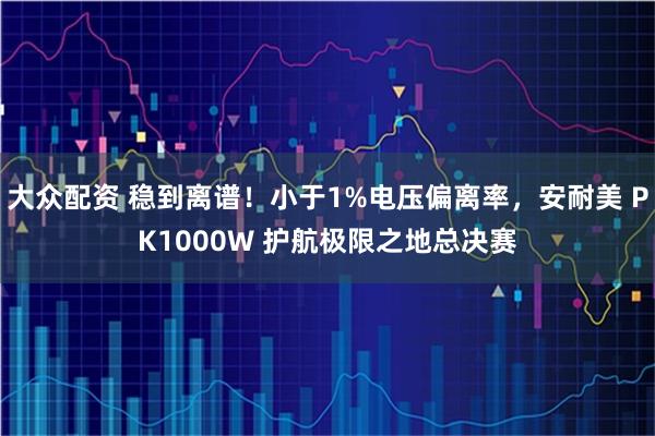 大众配资 稳到离谱！小于1%电压偏离率，安耐美 PK1000W 护航极限之地总决赛