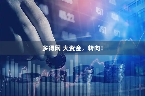 多得网 大资金，转向！